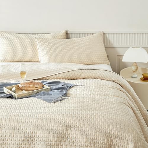 WARMDERN Beige Quilt Sets Queen Size, Cooling Summer Quilt for Hot Sleepers, Soft Lightweight Bedding Bedspread Coverlets for All Season(Beige, Queen)