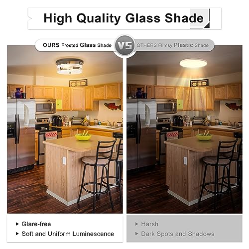 Flush Mount Ceiling Light with Clear Glass Shade, 2-Light Indoor Outdoor Farmhouse Lighting Flush Mount Lights for Kitchen Bedroom Porch Living Dining Room