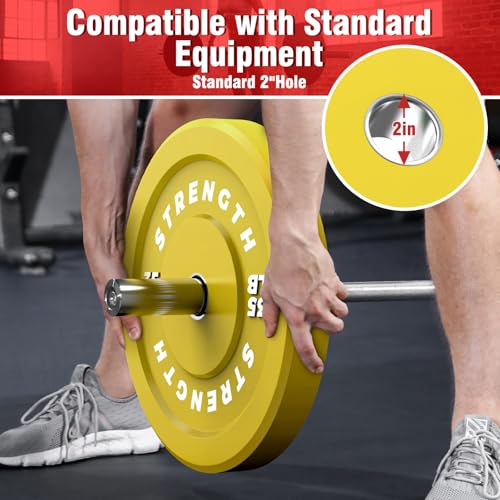 Rendpas Color Olympic Bumper Plates - Elastic and Tough Rubber Weights Plate with Metal Insert, 2-Inch Universal Fit, Ideal for Strength Training and Fitness Workouts-2x10LB