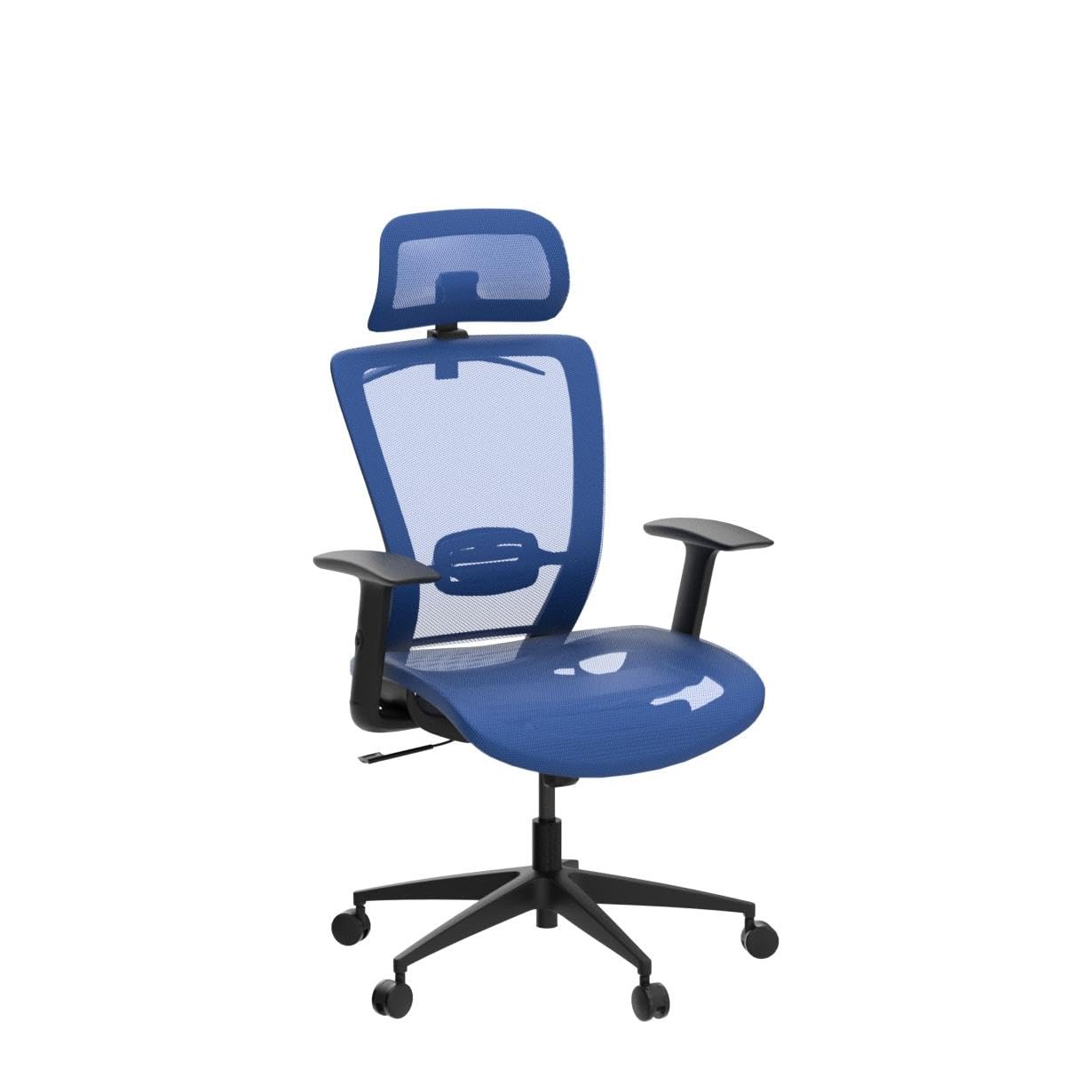 FLEXISPOT Ergonomic Office Chair Height Adjustable Computer Chair Home Office Desk Chairs with Wheels Adjustable Headrest Armrests Blue