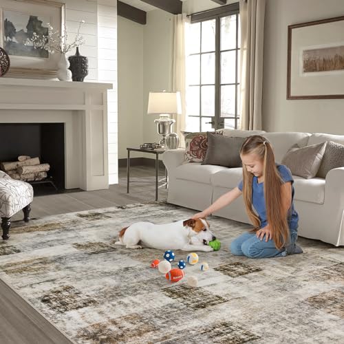 Area Rug Living Room Rugs: 3x5 Soft Modern Abstract Fluffy Rug with Non-Slip Backing, Washable Indoor Plush Throw Rug Small Accent Carpet for Bedroom Dining Room Nursery Home Office - Beige/Gray