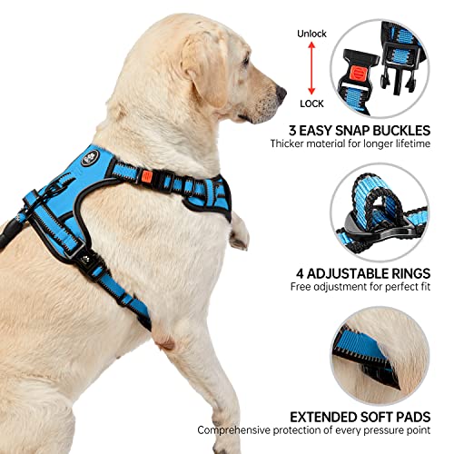 NESTROAD No Pull Dog Harness,Adjustable Oxford Dog Vest Harness with Leash,Reflective No-Choke Pet Harness with Easy Control Soft Handle for Small Dogs(Small,Vintage Blue)