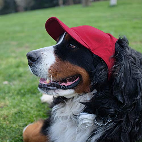 Littlearth Chicago Blackhawks NHL Pet Baseball Hat