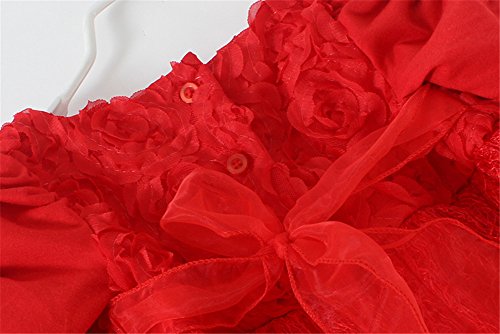 Mud Kingdom Baby Girls Tutu Dress Princess Cute Floral Tulle Red Birthday Wedding 6 Months