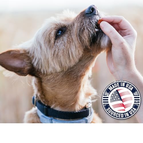 Riley's Slims Dried Sweet Potato Dog Treats - Dehydrated Chews for Dogs - Single Ingredient USA Sourced Made in The USA - 7.5 oz