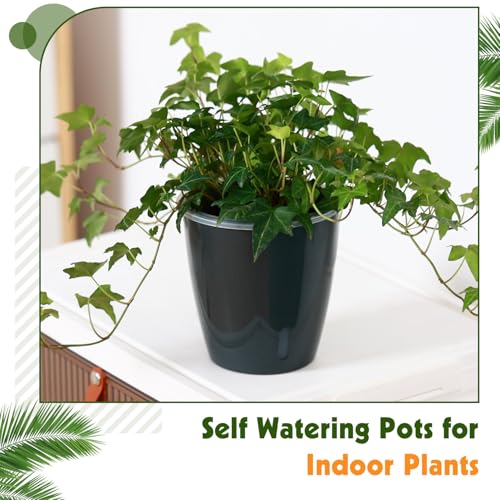 KvyusFlourish Self Watering Pots for Indoor Plants, 6-Pack 6.7'' Self Watering Planter with Drainage Holes, Small African Violet Pots with Water Indicator, Clear Wick Orchid Pot, White