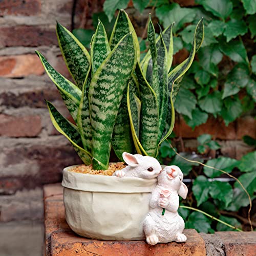 WONDHOME Rabbit Flower Pot Succulent Planter Garden Pots, Bunny Decorative Flower Pot,Animal Shaped Cartoon Planter Pots, Art Decorations for Mom Women (Flower with Drainage Hole)