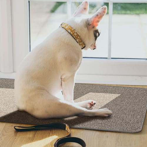 Yancorp Front Door Mat Ultra-thin 1/10 Inch Entry Rug 16"x 28" Non-Slip Rubber Backing Indoor Doormat for for Entryways, Front Doors, Hallways,Brown