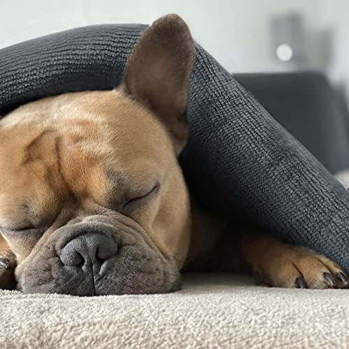 PETHUR Waterproof Dog Blankets for Small Dogs, Small Cat Blankets for Indoor Cats, Soft Flannel Puppy Blanket Washable, Pet Throw Blanket for Couch, 20"x30", Beige