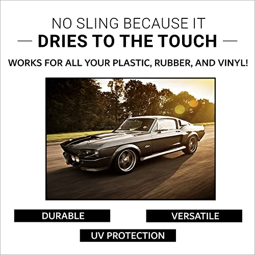 CAR GUYS Tire Shine Spray | The Perfect Shine | Durable and User Friendly Tire Dressing | Long Lasting UV Protection | 18 Oz Kit with Applicator Pad