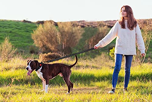 Reflective Dog Collar and Leash Set with Safety Locking Buckle Nylon Pet Collars Adjustable for Small Medium Large Dogs 3 Sizes(Black&S)
