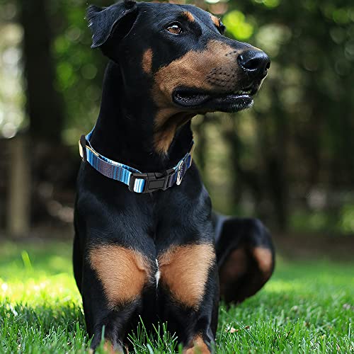 Alainzeo Dog Collar with The Diamond Pattern for Small Medium Large Dogs, Adjustable Soft Puppy Collars with Quick Release Buckle (S Neck 11.0''-15.7'')