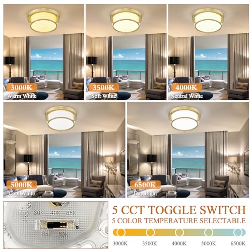 Luminzone Gold LED Ceiling Light Fixtures 12 Inch 22W LED Flush Mount Light 5CCT Dimmable Ceiling Light with Milk Glass Overhead Ceiling Lamp for Bedroom Bathroom Kitchen 3000K~6500K