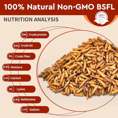 BUNTIE WORMS Dried Black Soldier Fly Larvae 5LB, High Protein Chicken Feed, 100% Natural Non-GMO – Treat for Chicken More Calcium Than Mealworms, Food for Laying Hen, Ducks, Wild Birds