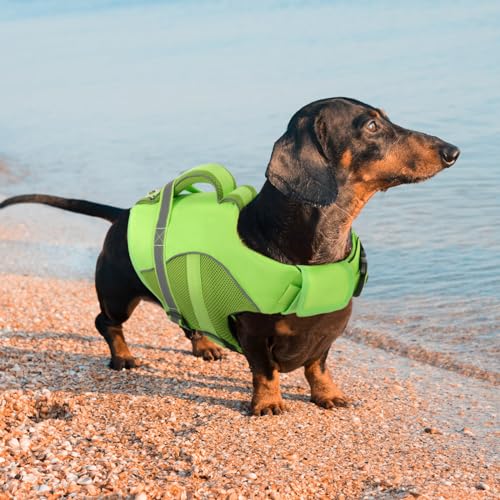 Queenmore Dog Life Jacket, Adjustable Ripstop Dog Life Vest for Swimming Boating, Dog Lifesaver with Superior Buoyancy and Rescue Handle, Dog Swimming Vest for X-Small Dogs(Green,XS)