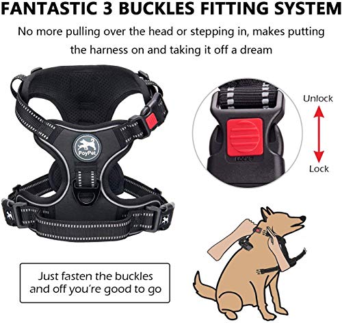 PoyPet No Pull Dog Harness and 5 Feet Leash Set, Release on Neck Reflective Adjustable Pet Vest, Front & Back 2 D-Ring and Soft Padded Pet Harness with Handle for Small to Large Dogs(Tumalo Teal,M)