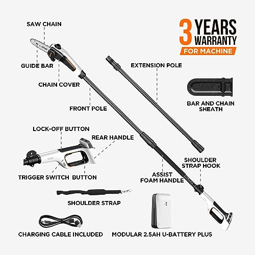 Litheli U20 Pole Saw for Tree Trimming, 8'' Electric Cordless Pole Saws, Battery Tree Trimmer 27.5ft/s Cutting Speed with 2.5Ah Battery for Branch Cutting, Trimming, Pruning