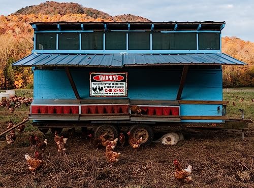 Funny Chicken Sign, Metal Chicken Coop Tin Signs, This property is protected by chickens, Yard Sign Garage Farm Garden Wall Decor Sign Plaque Outdoor for Home Fence 8 X 12 Inches