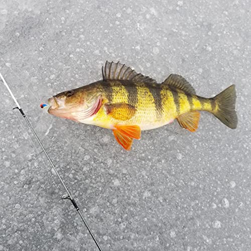 BASSDASH Tungsten Ice Fishing Jigs with Glowing Paint Fishing Lures for Winter Ice Jigging Crappie Bluegill, 6-Pack