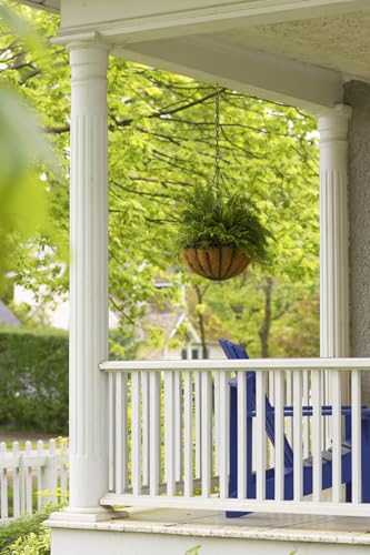 Koch 721926 Coil Straight Chain, Trade Size 2/0 by 100 Feet, Zinc Plated