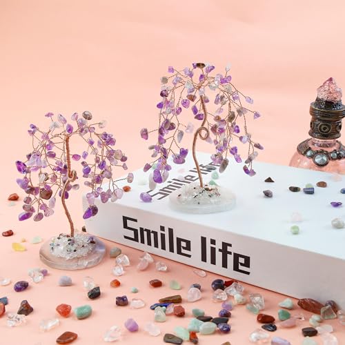 ZHIYUXI Amethyst Purple Room Decor Home Office Crystals Tree Gifts for Women Men Gemstones Desk Lucky Stones