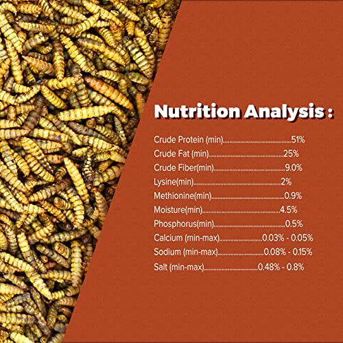 BUNTIE WORMS Dried Black Soldier Fly Larvae 5LB, High Protein Chicken Feed, 100% Natural Non-GMO – Treat for Chicken More Calcium Than Mealworms, Food for Laying Hen, Ducks, Wild Birds