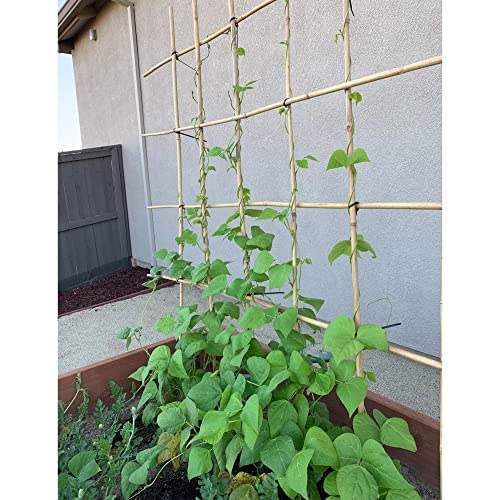 50Pcs Garden Stakes, 0.32”/ 2Feet Bamboo Sticks,Natural Plant Stakes for Indoor and Outdoor Plants,Poles for Tomatoes, Beans, Potted Plants…