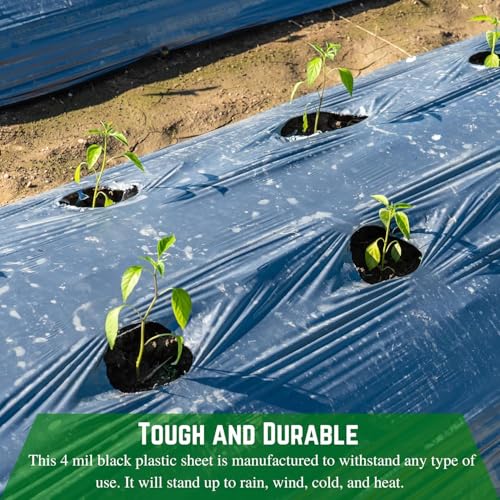 Farm Plastic Supply - Black Plastic Sheeting - 4 mil - (3' x 100') - Black Plastic Tarp, Polyethylene Vapor Barrier Plastic Sheeting, Black Painters Tarp, Roll of Heavy Duty Plastic