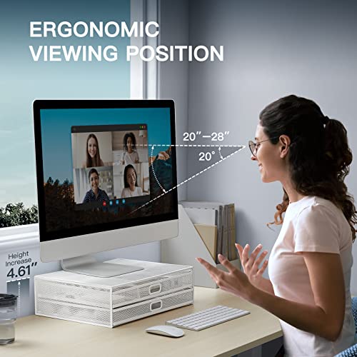 HUANUO 2 Tier Monitor Stand, Metal Monitor Riser with Drawer, Desk Organizer, Monitor Stand with Storage, Desktop Computer Stand for PC, Laptop, Printer