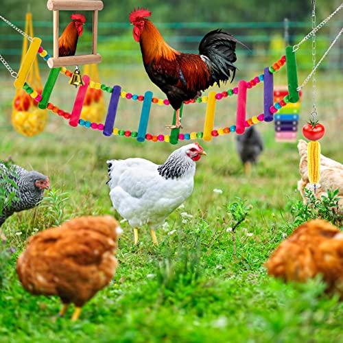 Hipykat 7pcs Chicken Toys for Coop Accessories - Chicken Xylophone Toy, Chicken Mirror, Chicken Ladder Bridge, Coop Swing, Vegetable Hanging Chicken Feeder, Chewing Foraging Toys, Gifts for Hens