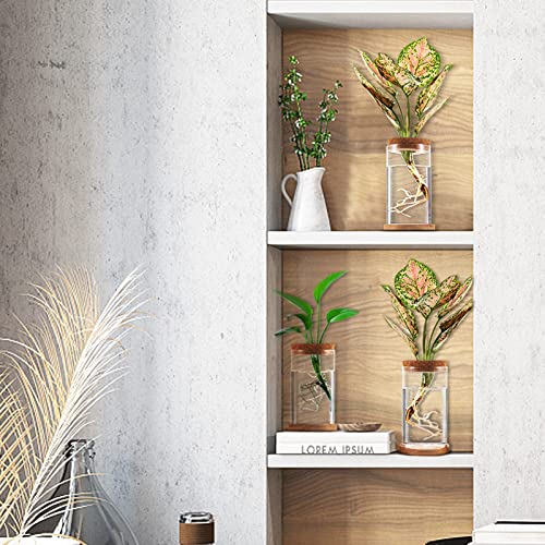 Plants Propagation Station - Desktop Plant Terrarium Glass Hydroponic Vases Water Plant Propagating Jars Gardening Gifts for Women Mom Plant Lovers (3Pcs, Separated Style)