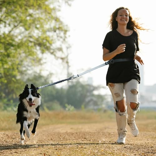 Roses&Poetry Dog Leashes for Large Dogs Heavy Duty,No Pull Bungee Dog Running Waist Leash for Walking Training with Car Seatbelt 4-6FT