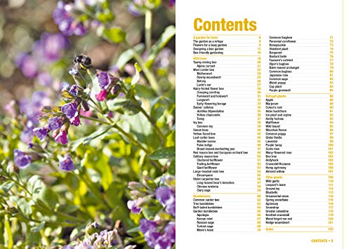 Bee Garden: Nurture your bee population. Select and grow the right flowers. Learn about wild bees of all kinds. Enjoy a garden full of life and color. ... know in one concise manual (Concise Manuals)