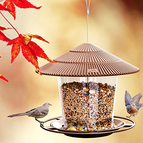 Hanging Bird Feeder Squirrel Proof for Outdoor Wild Bird Seed, Purple