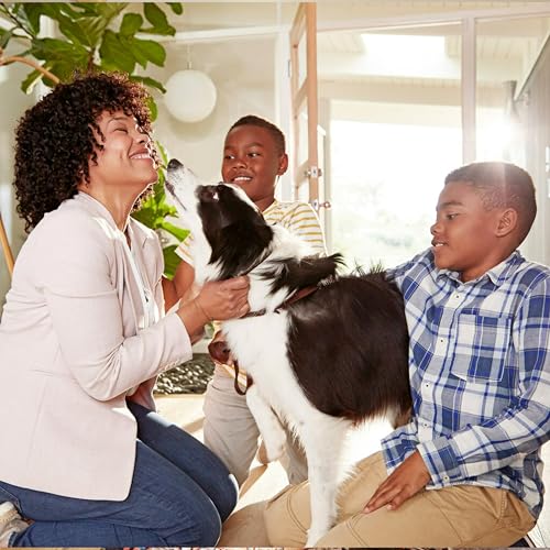 Filtrete 20x25x1 AC Furnace Air Filter, MERV 13, MPR 1900, Premium Allergen, Bacteria & Virus Filter, 3-Month Pleated 1-Inch Electrostatic Air Cleaning Filter, 2-Pack (Actual Size 19.69x24.69x0.78 in)