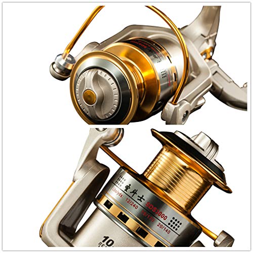 Diwa Spinning Fishing Reels for Saltwater Freshwater 1000 2000 3000 4000 5000 6000 Series Fishing Spool Left/Right Interchangeable Trout Carp Spinning Reel 10 Ball Bearings Light and Smooth (1000)