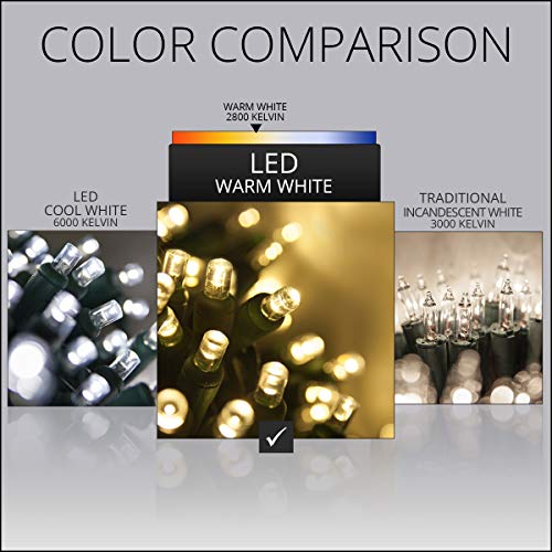 50 5mm LED Warm White Christmas Lights, 17' Indoor-Outdoor Christmas String Lights Mini Light Set White Christmas Lights Green Wire