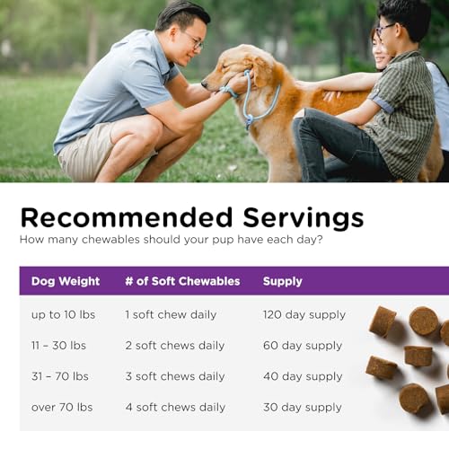 Nutri-Vet Pre and Probiotic Soft Chews for Dogs | Digestive Health Support | Tasty Alternative to Probiotic Powder | 120 Soft Chews