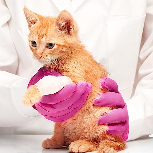 SwiftGrip Powder-Free Nitrile Gloves, X-Small, 50ct Box - 3-mil, Disposable, Latex-Free, for Kitchen, Cleaning, Estheticians, Hair Stylist - Pink/Fuchsia