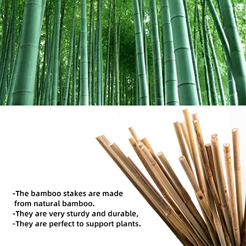 50Pcs Garden Stakes, 0.32”/ 2Feet Bamboo Sticks,Natural Plant Stakes for Indoor and Outdoor Plants,Poles for Tomatoes, Beans, Potted Plants…