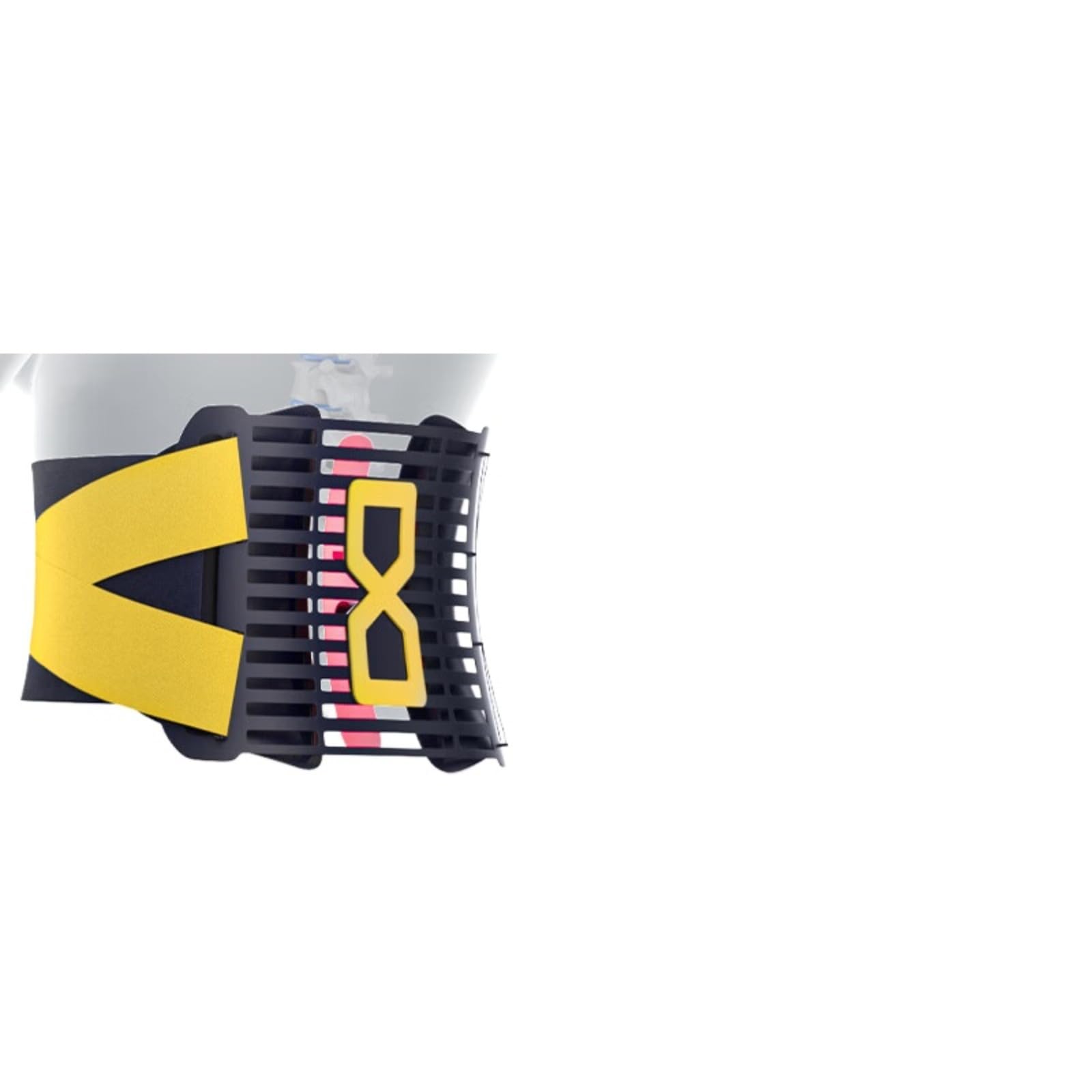 Back Brace for Lower Back Pain - Lumbar Support Belt for Men & Women for Sciatica, Herniated Disc, Scoliosis