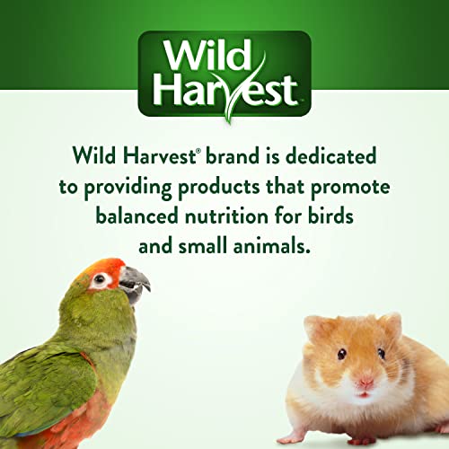 Wild Harvest Stuffed Logz 1 Count, Edible Treat for Rabbits, Guinea Pigs and Chinchillas, Artificial Peanut Butter Flavor (Pack of 2)