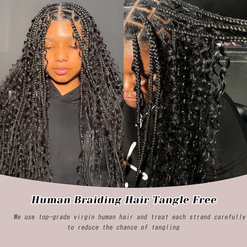 Human Braiding Hair For Boho Braids Human Hair Bundles Deep Wave Bundles 100g(2 Bundles/Pack) Human Braiding Hair Extensions No Weft 100% Brazilian Virgin Curly Braiding Hair (27#, 18Inches)