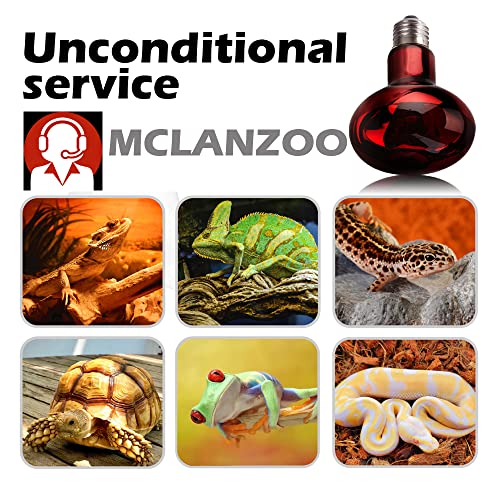 MCLANZOO 2 Pack 50w Reptile Heat Lamp Bulb Infrared Basking Spot Heat Lamp for Reptiles & Bearded Dragon Amphibian, Chicks, Dog Heating Use with Stick-on Digital Temperature Thermometer