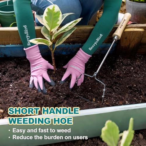 Berry&Bird Swoe Garden Hoe, 61.8'' Stainless Steel Long Handled 3 Edge Hoe with Wooden Hand, Mini Angled/Warren Hoe, Soil Cultivator Weeding Tool for Grass Flower Backyard