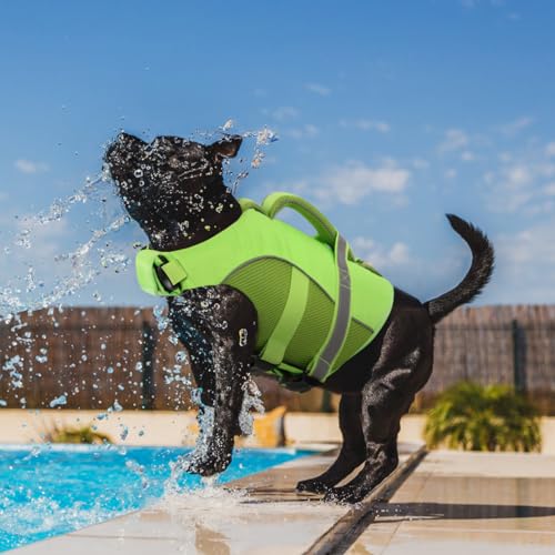 Queenmore Dog Life Jacket, Adjustable Ripstop Dog Life Vest for Swimming Boating, Dog Lifesaver with Superior Buoyancy and Rescue Handle, Dog Swimming Vest for X-Small Dogs(Green,XS)