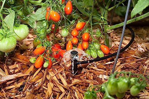 Rain Bird MBF4PKS Drip Irrigation Micro-Bubbler on Stake, 360° Full Circle Pattern, 0 - 3' Spray Distance, 4-Pack