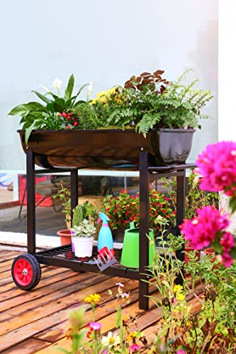 Aveyas Metal Raised Planter Box on Wheels with Complete Gardening Kit, Elevated, Mobile Garden Bed Cart with Legs - Ideal for Indoor & Outdoor Patio, Backyard Planting of Vegetables, Herbs, Flowers