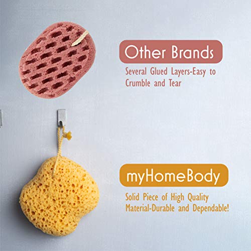 myHomeBody Bath Sponge, Foam Loofah Sponge, Body Sponge for Shower – Large Size, Lots of Lather, Curvy, 2 Pack
