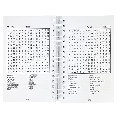 Word Search Puzzles (Big Book of Puzzles) (Brain Busters)